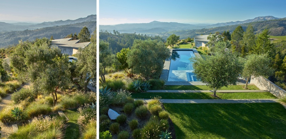2024 ASLA RESIDENTIAL DESIGN AWARD OF HONOR Trinity Road by Surfacedesign Inc