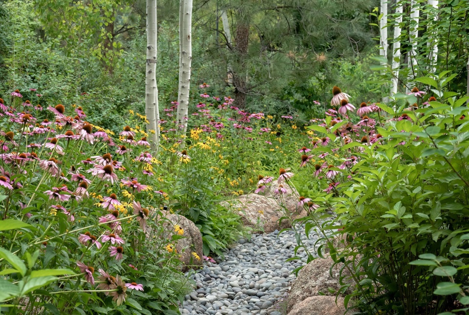 Nurturing Nature in the Mile High City by Design Workshop Inc Aspen