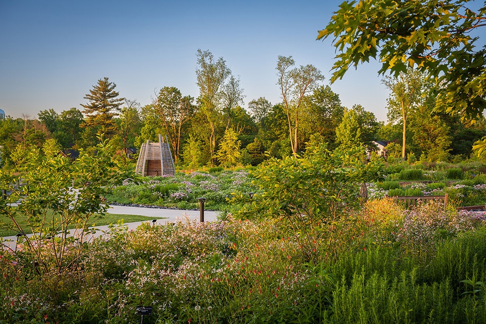 Pollinator and Bird Garden