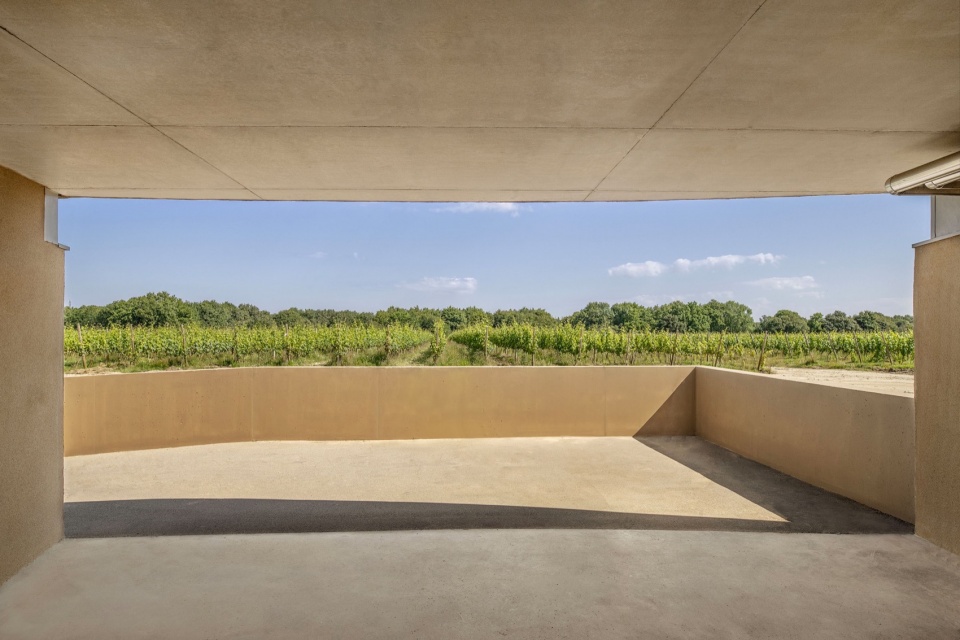 wine storehouse in sarzeau by carmen maurice architecture e1732266339757