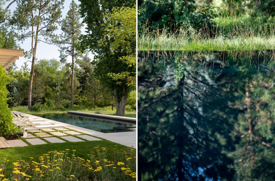 Nurturing Nature in the Mile High City by Design Workshop Inc Aspen