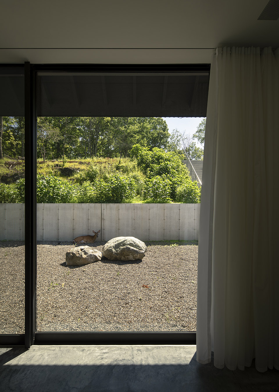 house in a meadow by group projects architecture