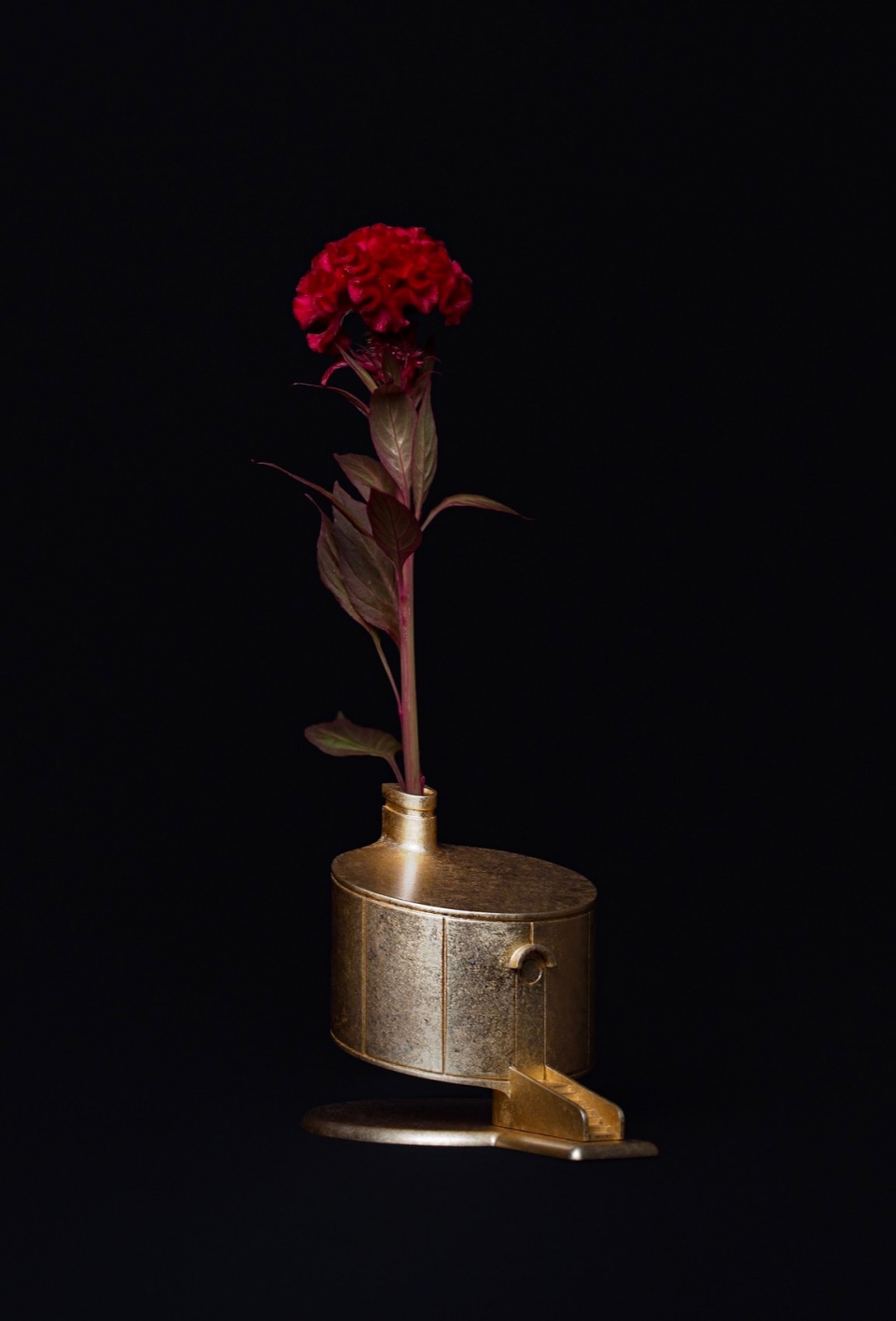 A House for Flowers the design labo