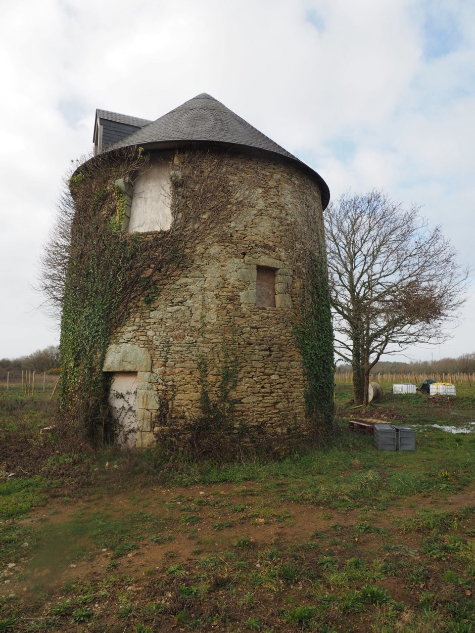wine storehouse in sarzeau by carmen maurice architecture e1732266326839