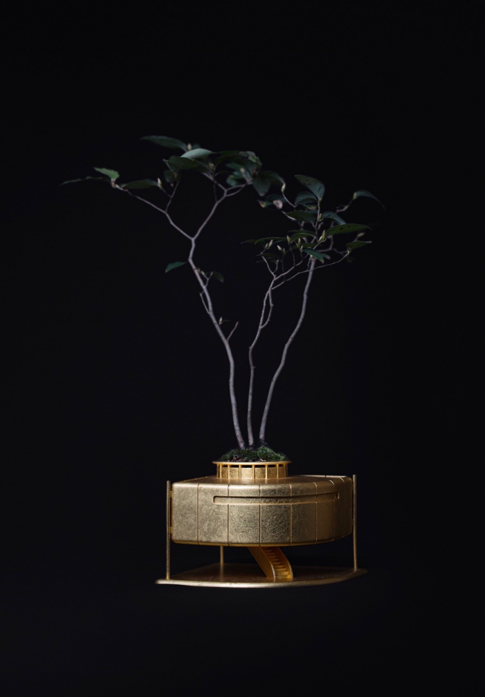 A House for Flowers the design labo