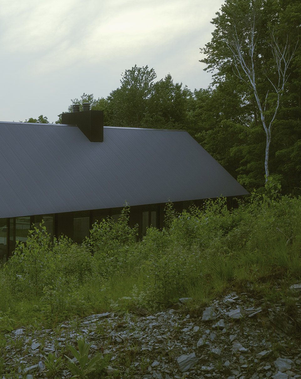 house in a meadow by group projects architecture