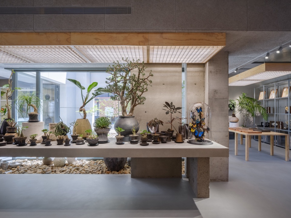 wildgreen botanic garden by studio yuda