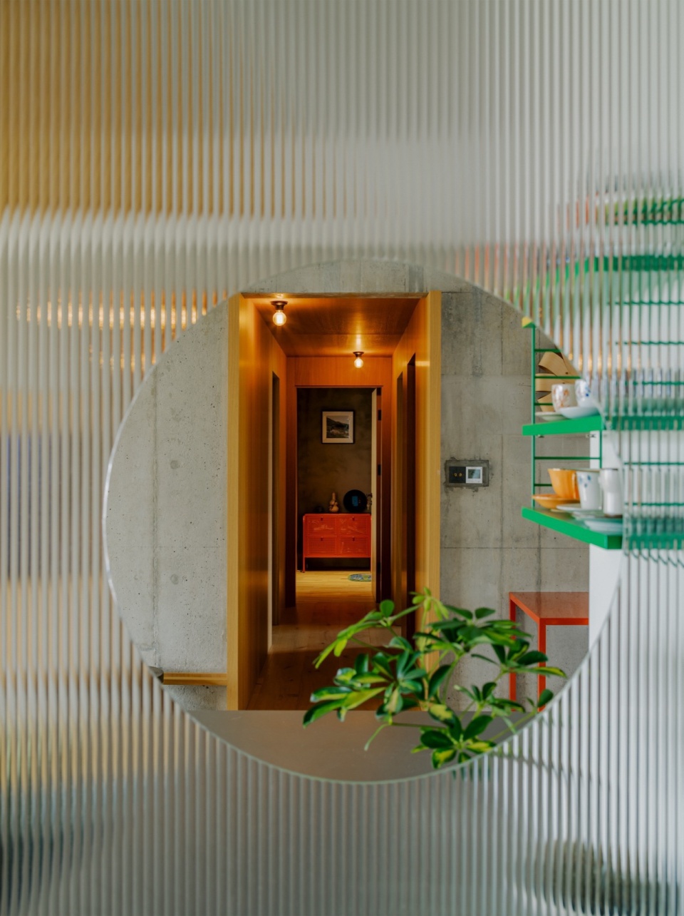 dwelling in an urban forest