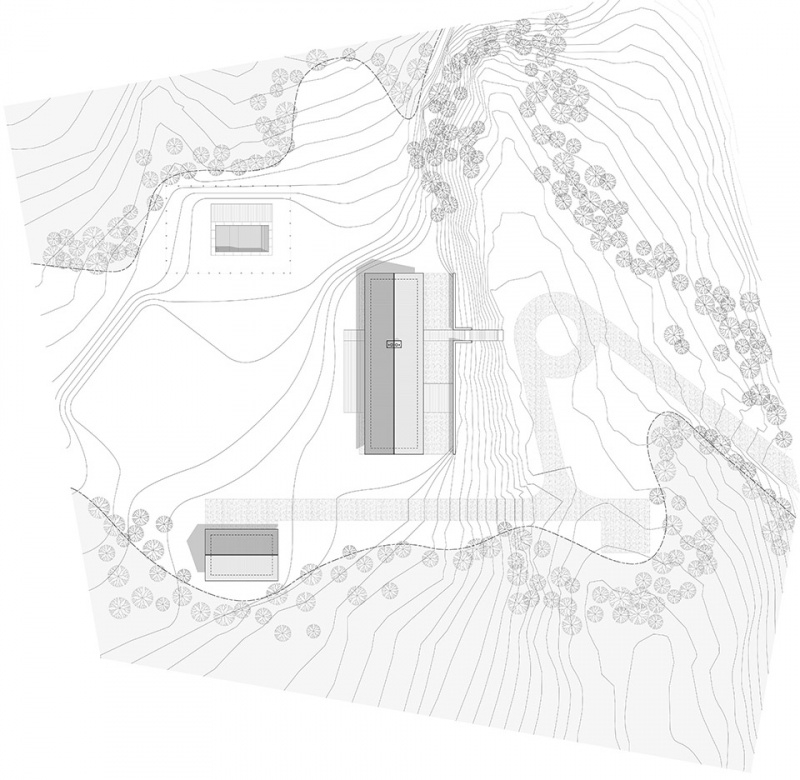house in a meadow by group projects architecture