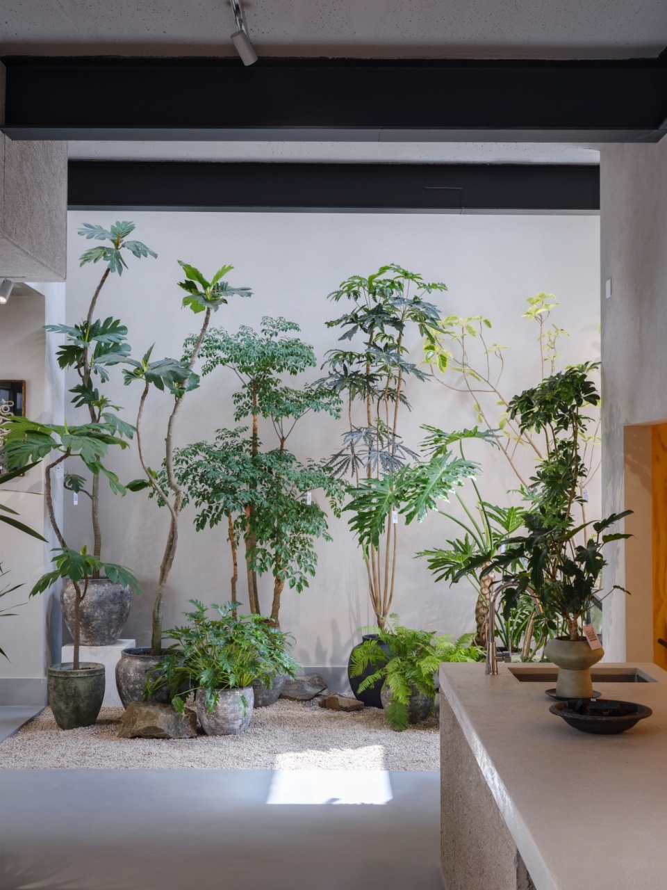 wildgreen botanic garden by studio yuda