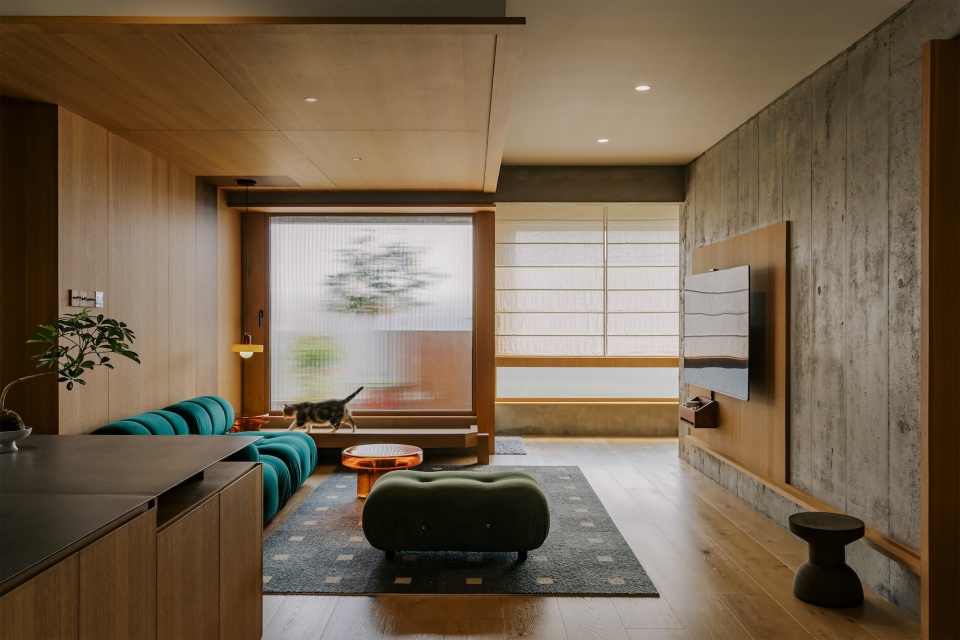 dwelling in an urban forest