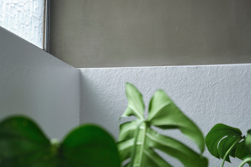 House in Sumida Roovice