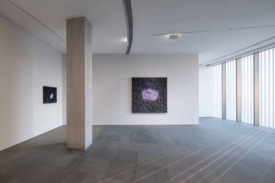 bosco sodis largest exhibition in asia