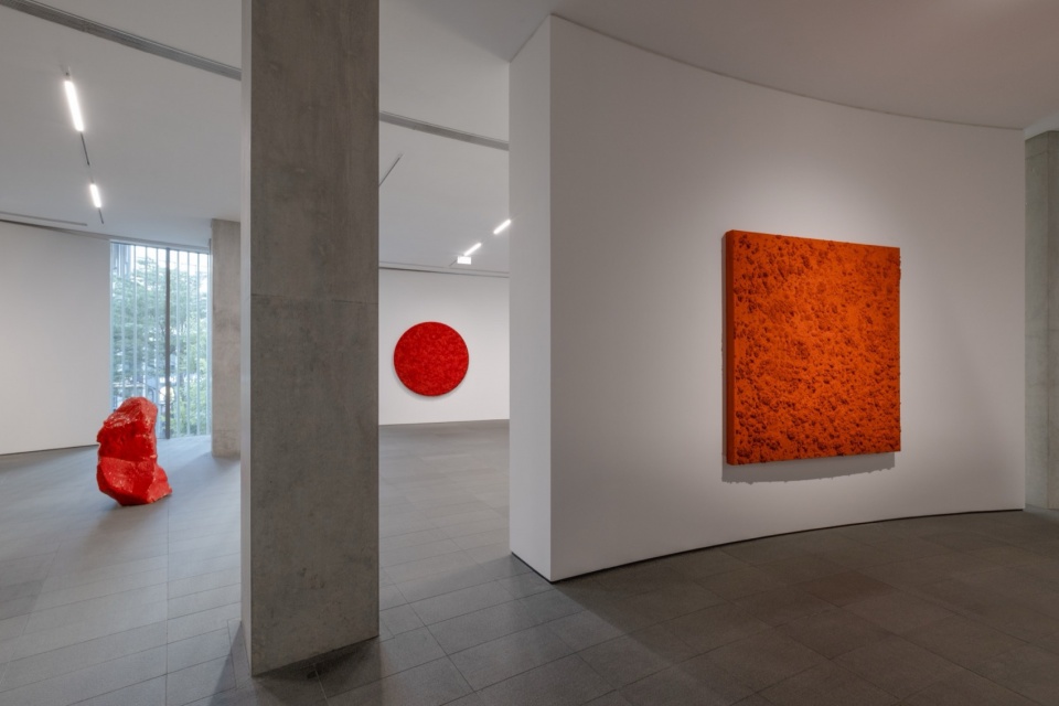 bosco sodis largest exhibition in asia