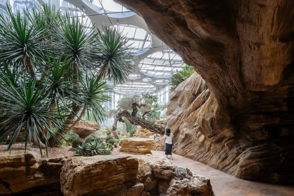 Expo Cultural Park Greenhouse Garden CreateAR interior desert