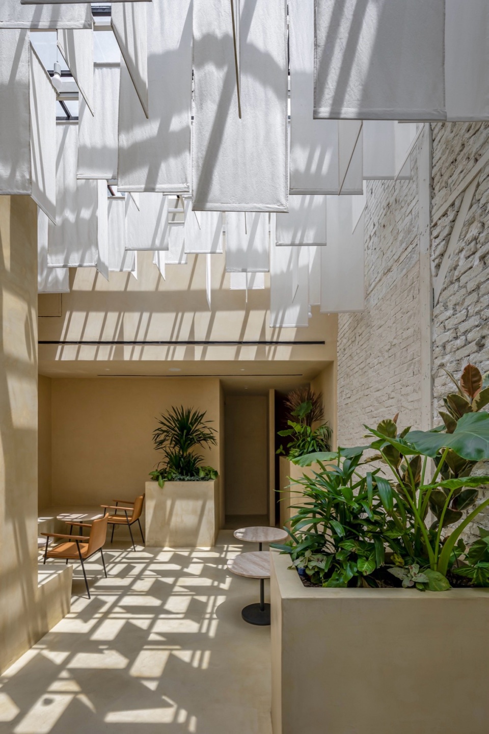 pct26 interior cafeC morico