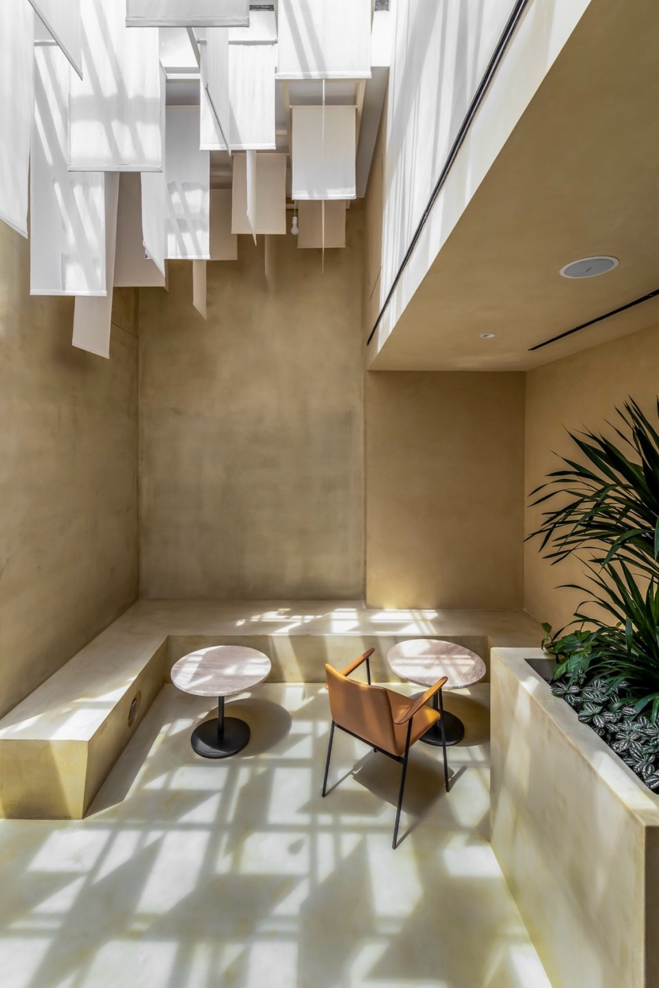 pct27 interior cafeC morico