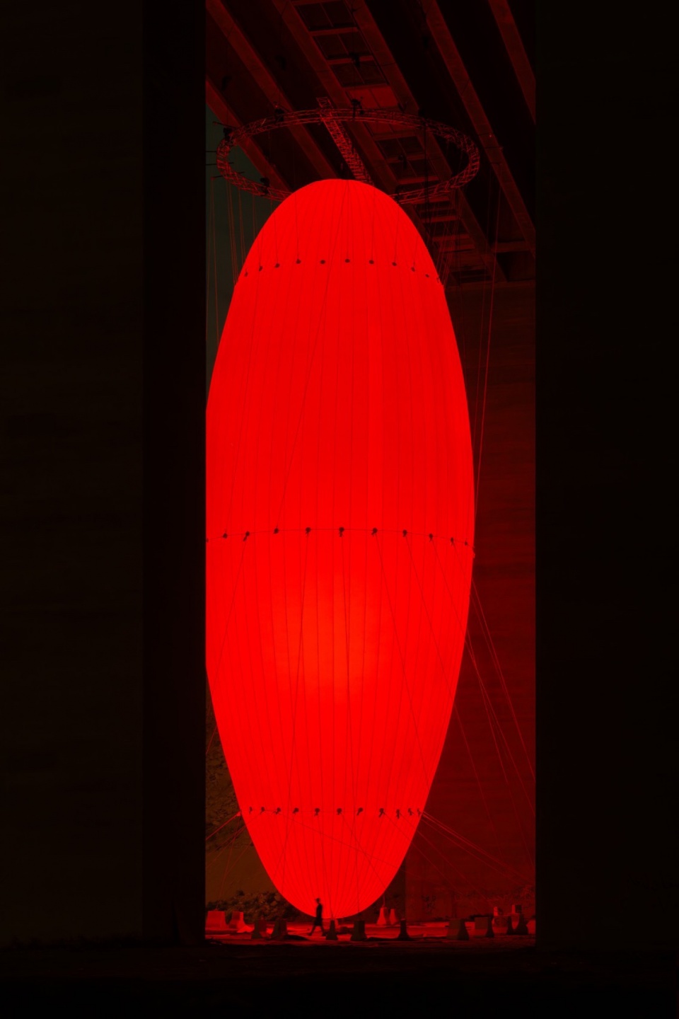 Ovoid by SpY