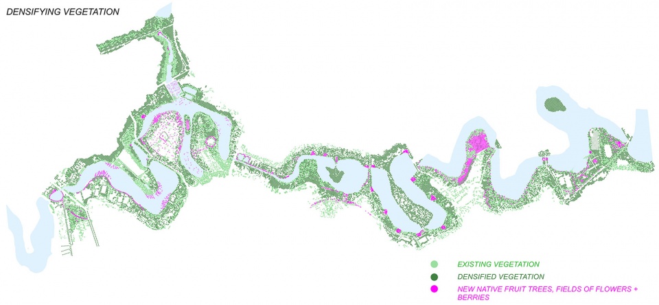 colentina lakes international design competition by pelinu projects beros abdul arhitecti