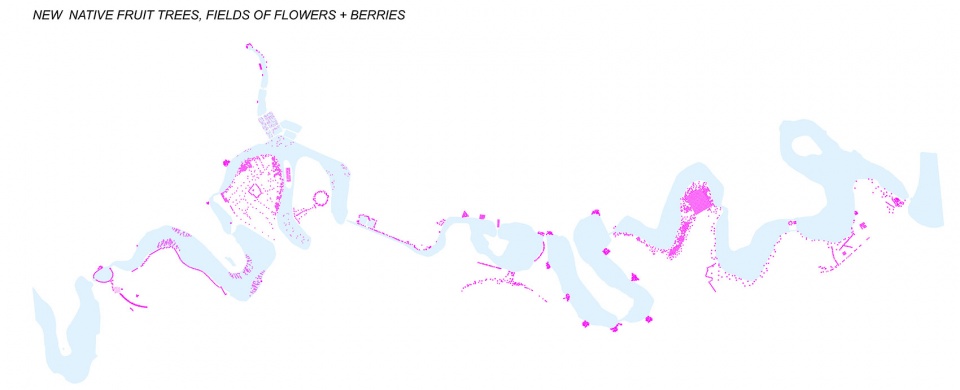 colentina lakes international design competition by pelinu projects beros abdul arhitecti