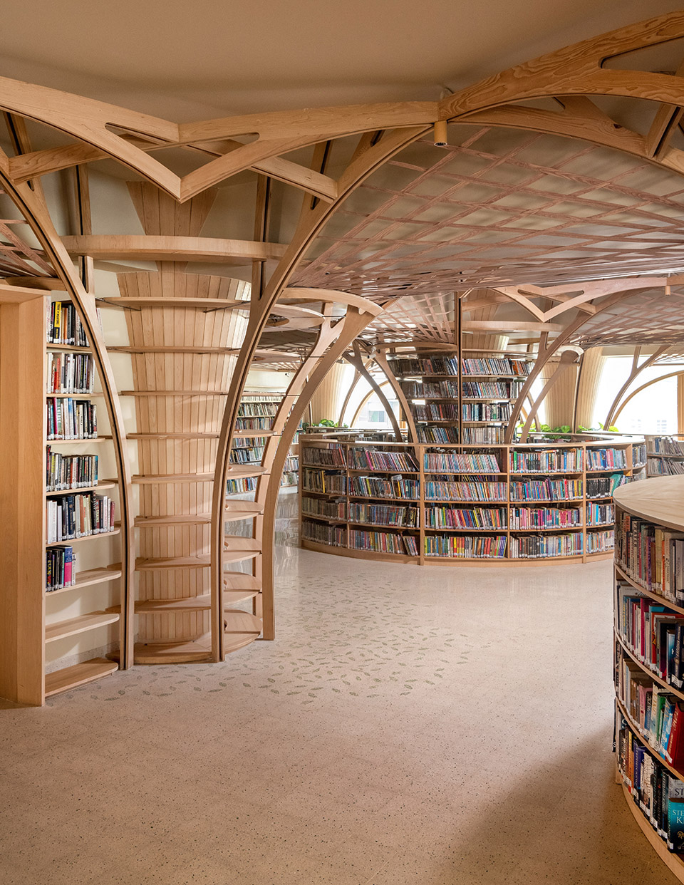 the forest of knowledge by studio hinge