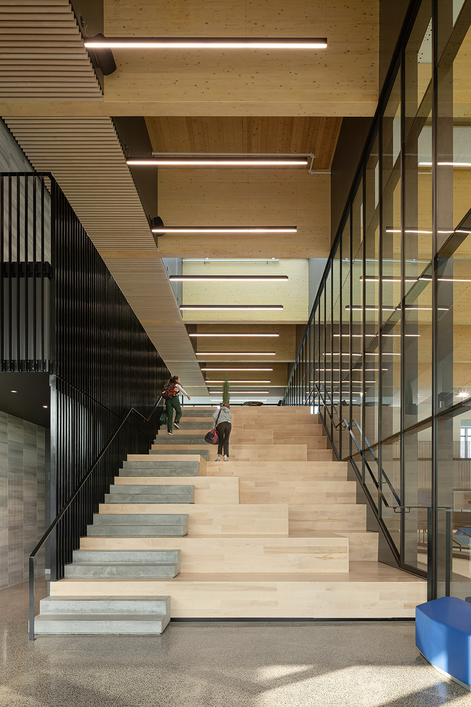 the saint georges multisport complex by abcp architecture