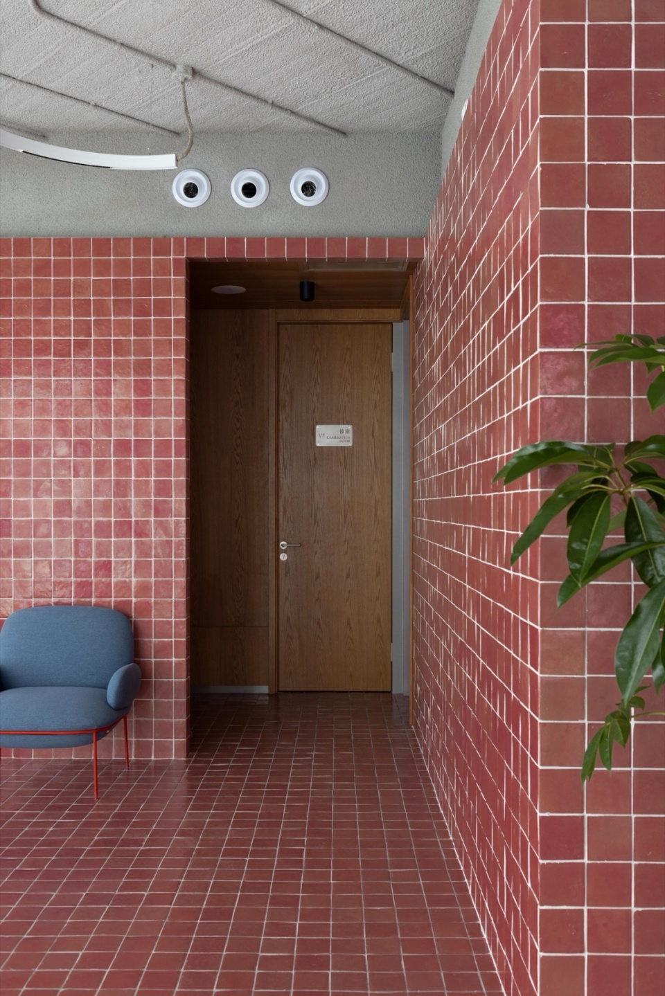 half.half .photographya clinic by studio yo u