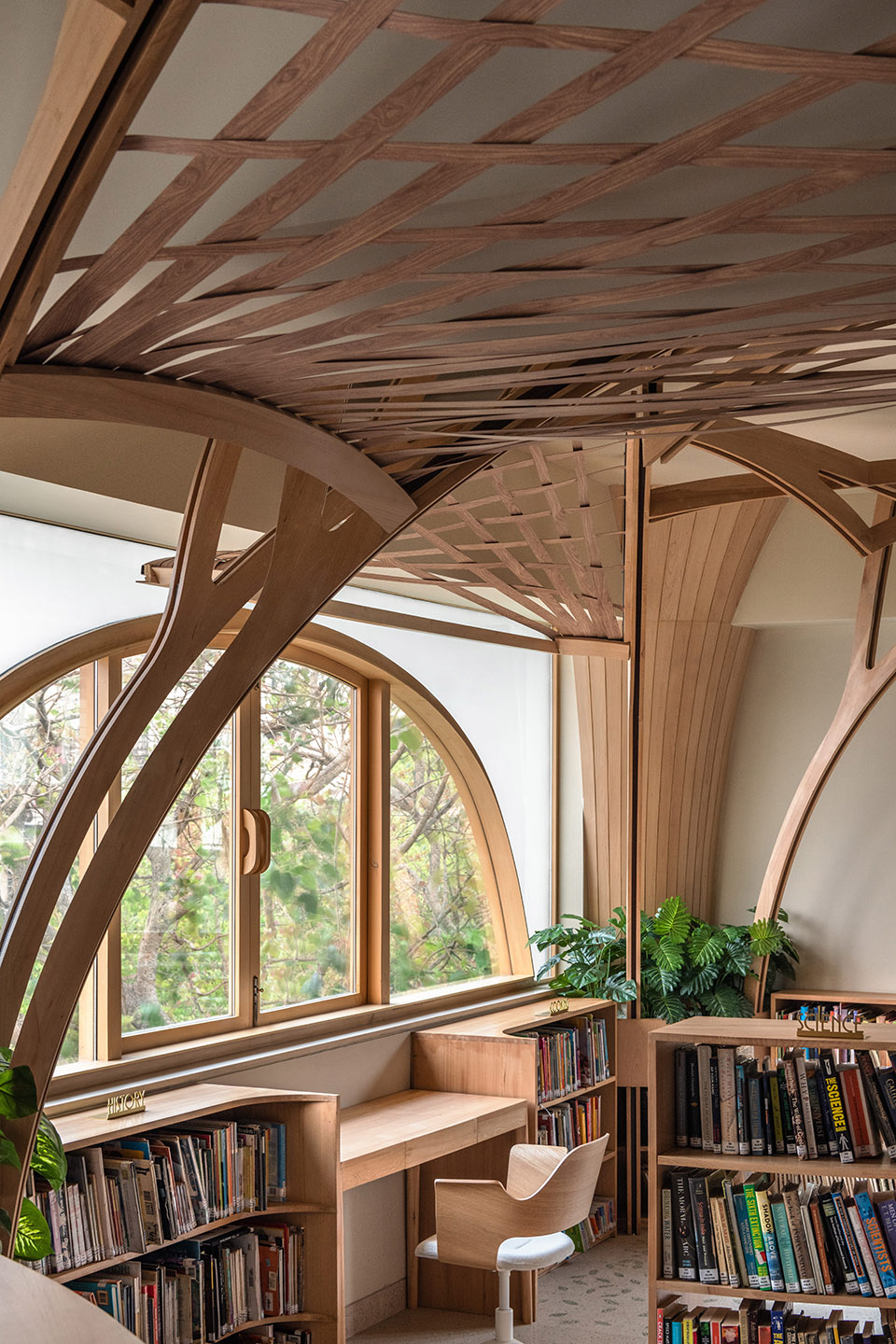 the forest of knowledge by studio hinge