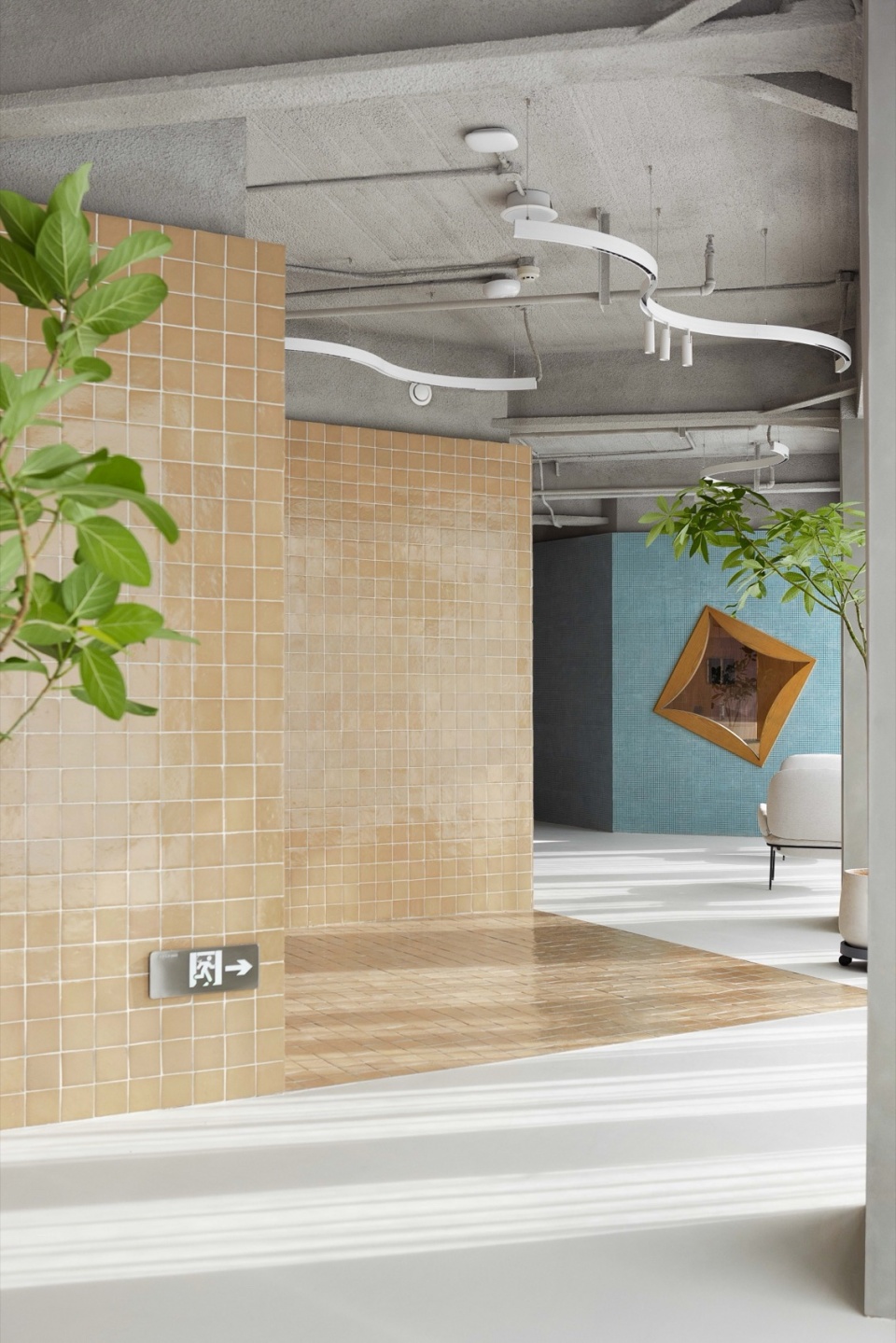 half.half .photographya clinic by studio yo u