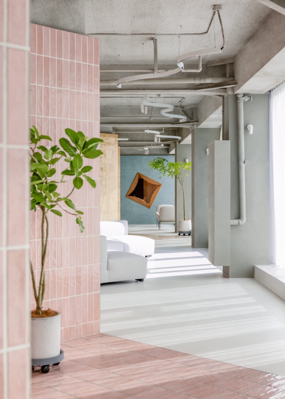half.half .photographya clinic by studio yo u