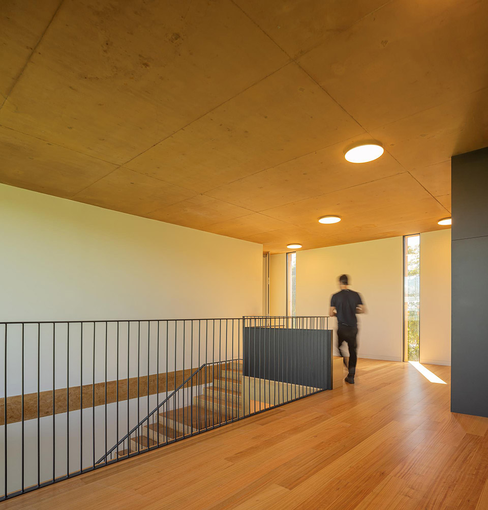 university stadium of porto by crea architects