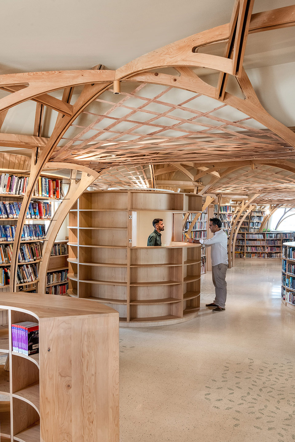 the forest of knowledge by studio hinge