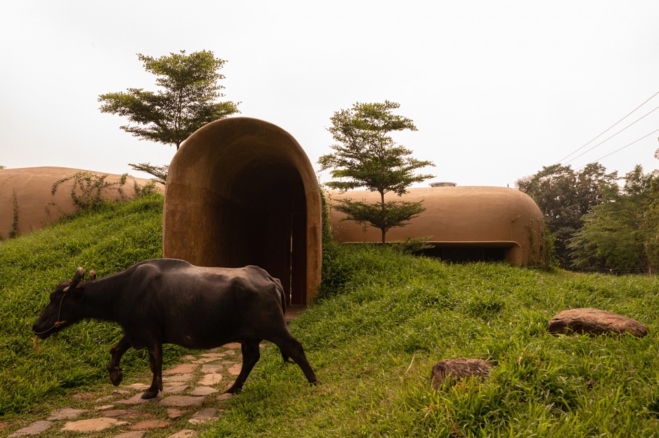 into the wild by earthscape studio
