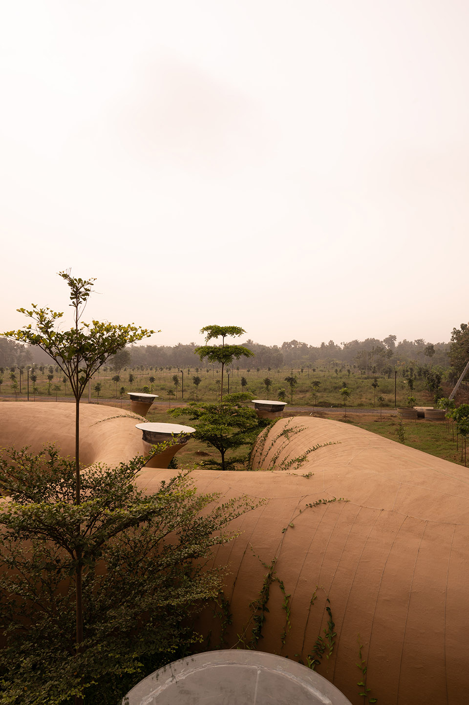 into the wild by earthscape studio