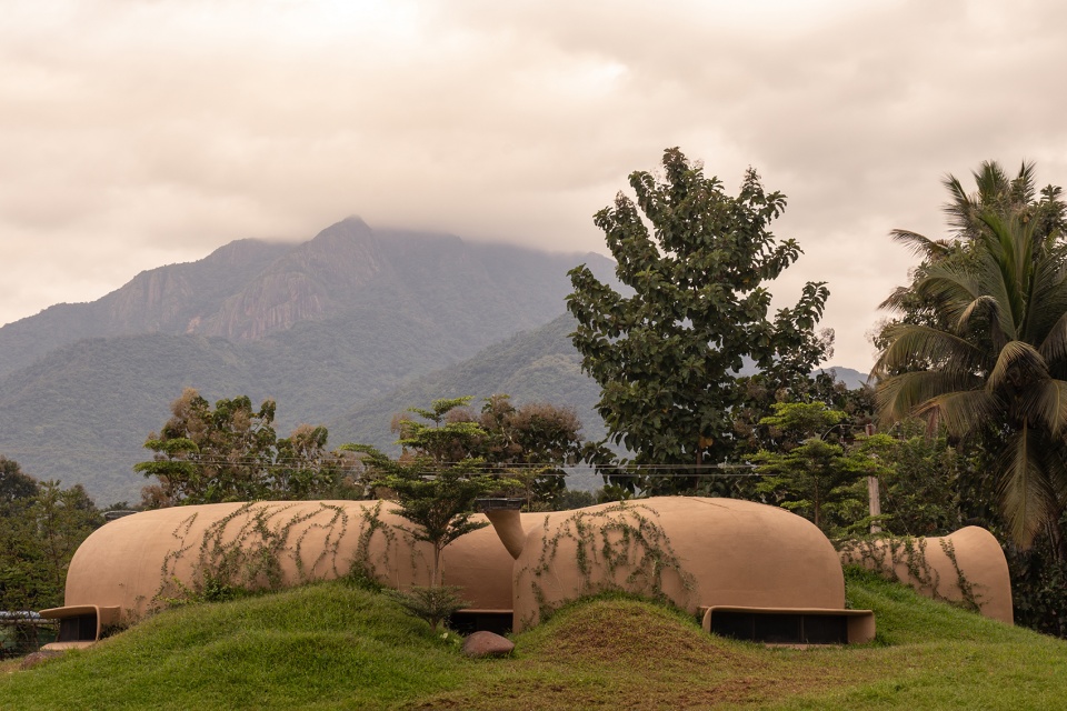 into the wild by earthscape studio
