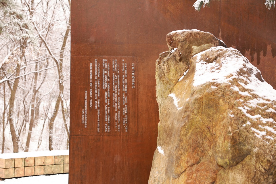 king kong monument by atelier scale