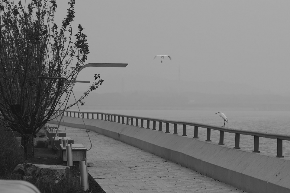 wuxi mashan shi li mingzhu levee by hecle