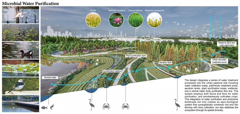 Microbial water purification duke kunshan university 14 year commitment to ecology