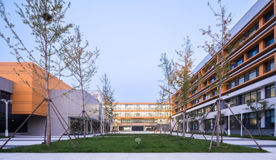 zouping bohai innovation school by bpd
