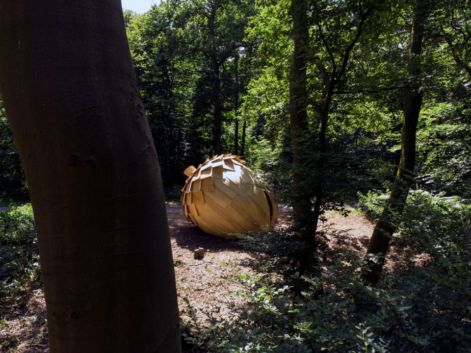 le monde dans un gland by lfz studio