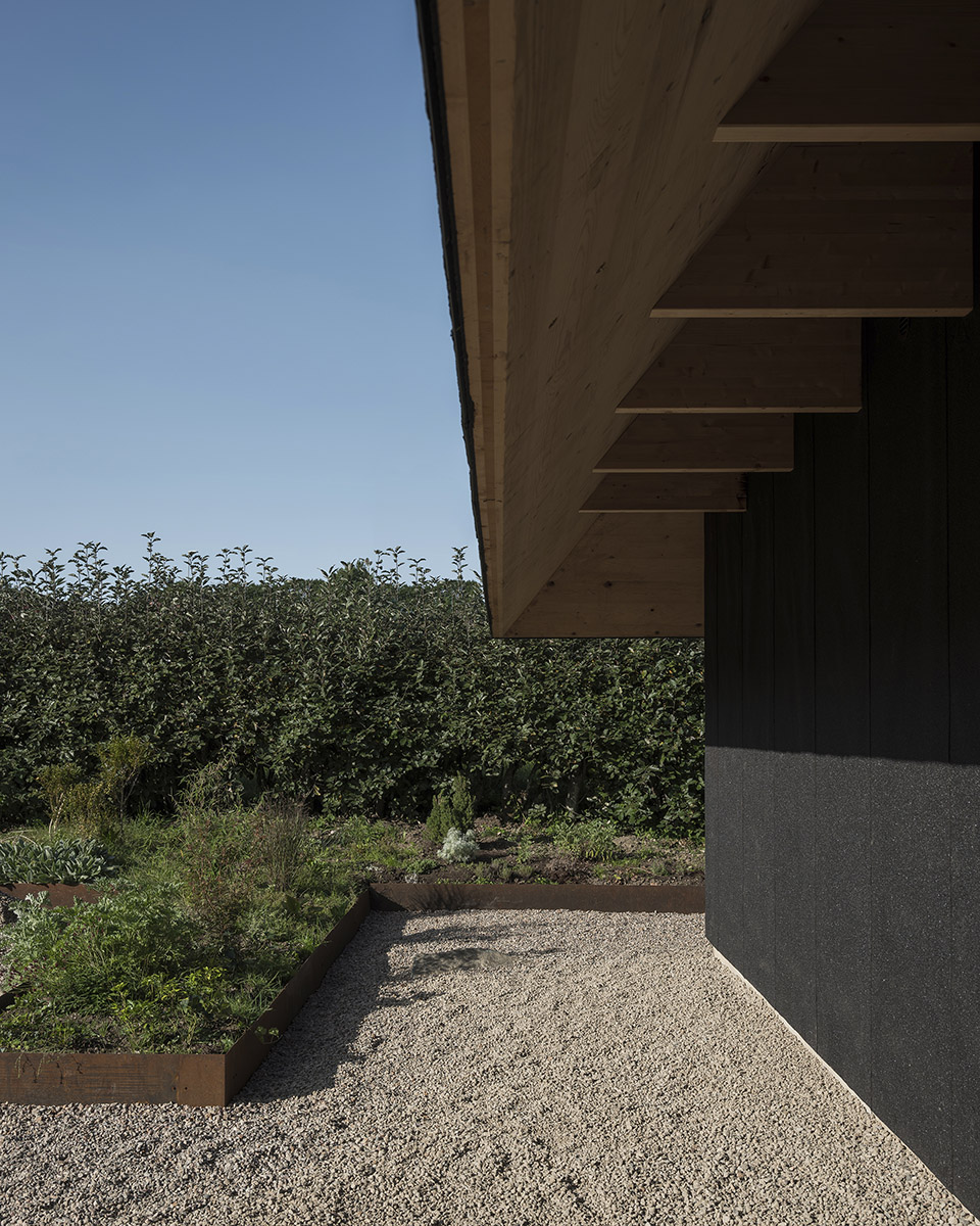house for two artists by faf