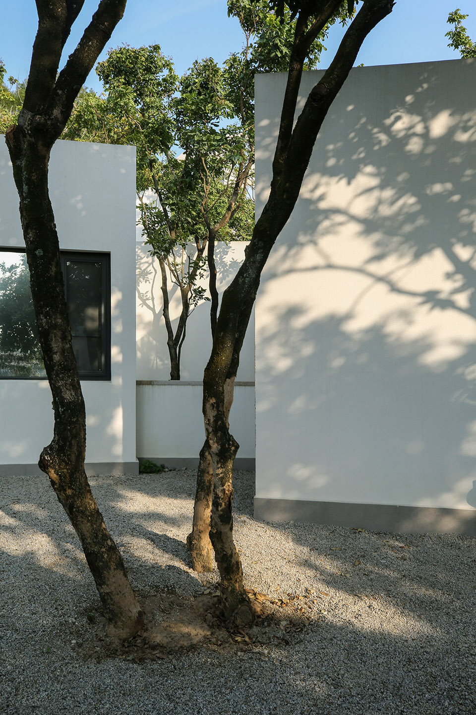 courtyard under longan trees by spacework architects