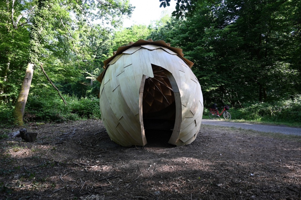 le monde dans un gland by lfz studio