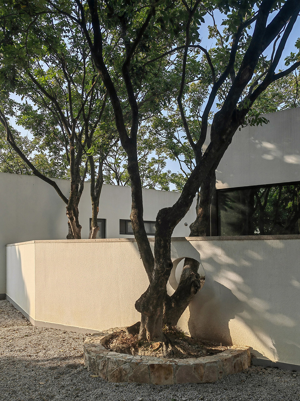 courtyard under longan trees by spacework architects