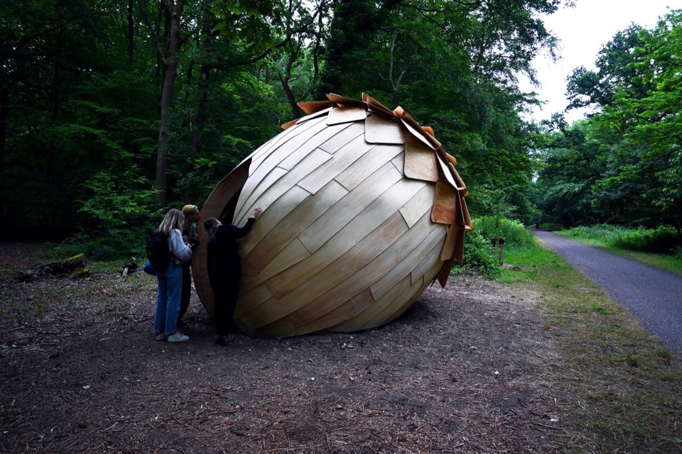 le monde dans un gland by lfz studio