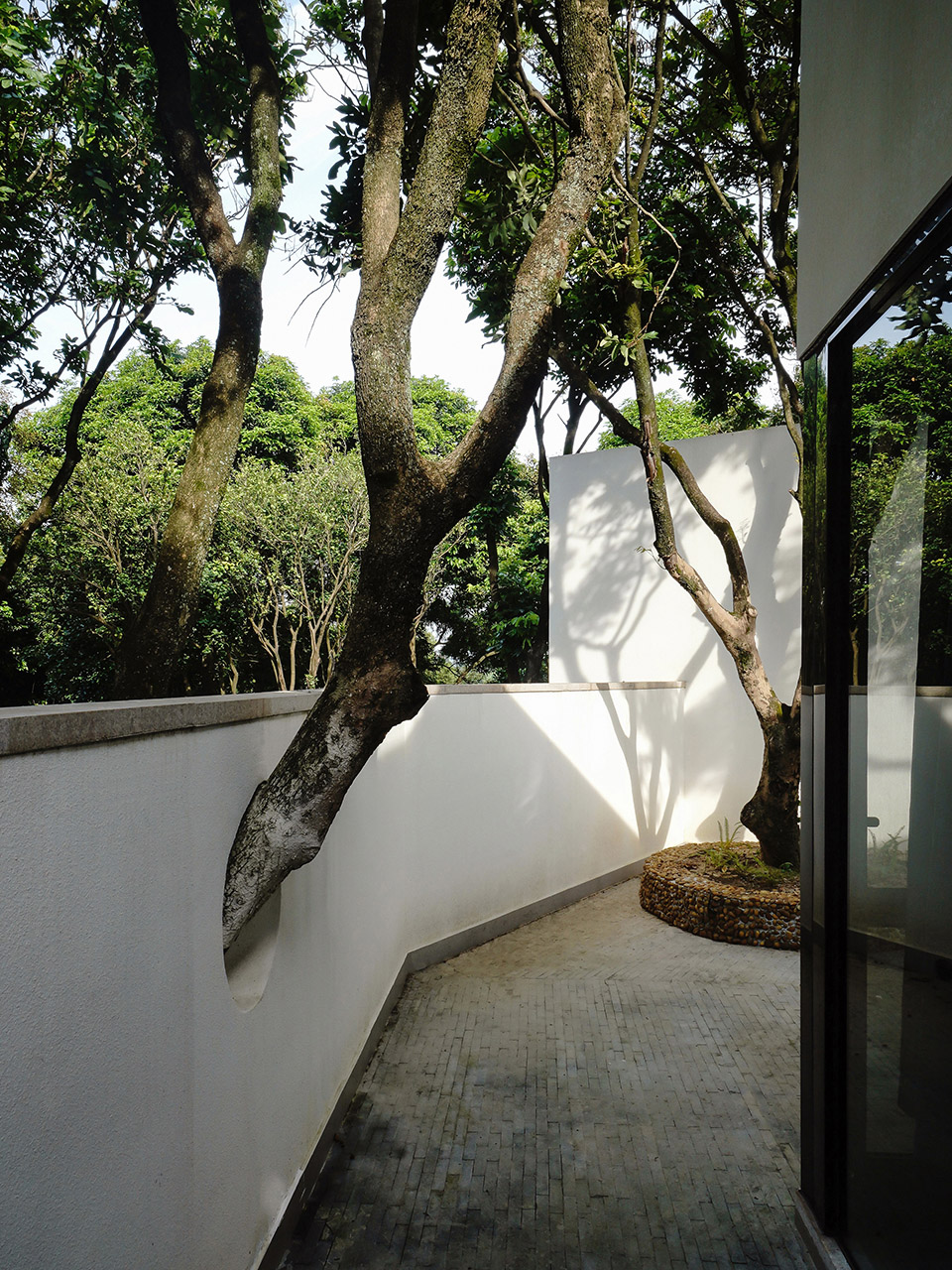 courtyard under longan trees by spacework architects
