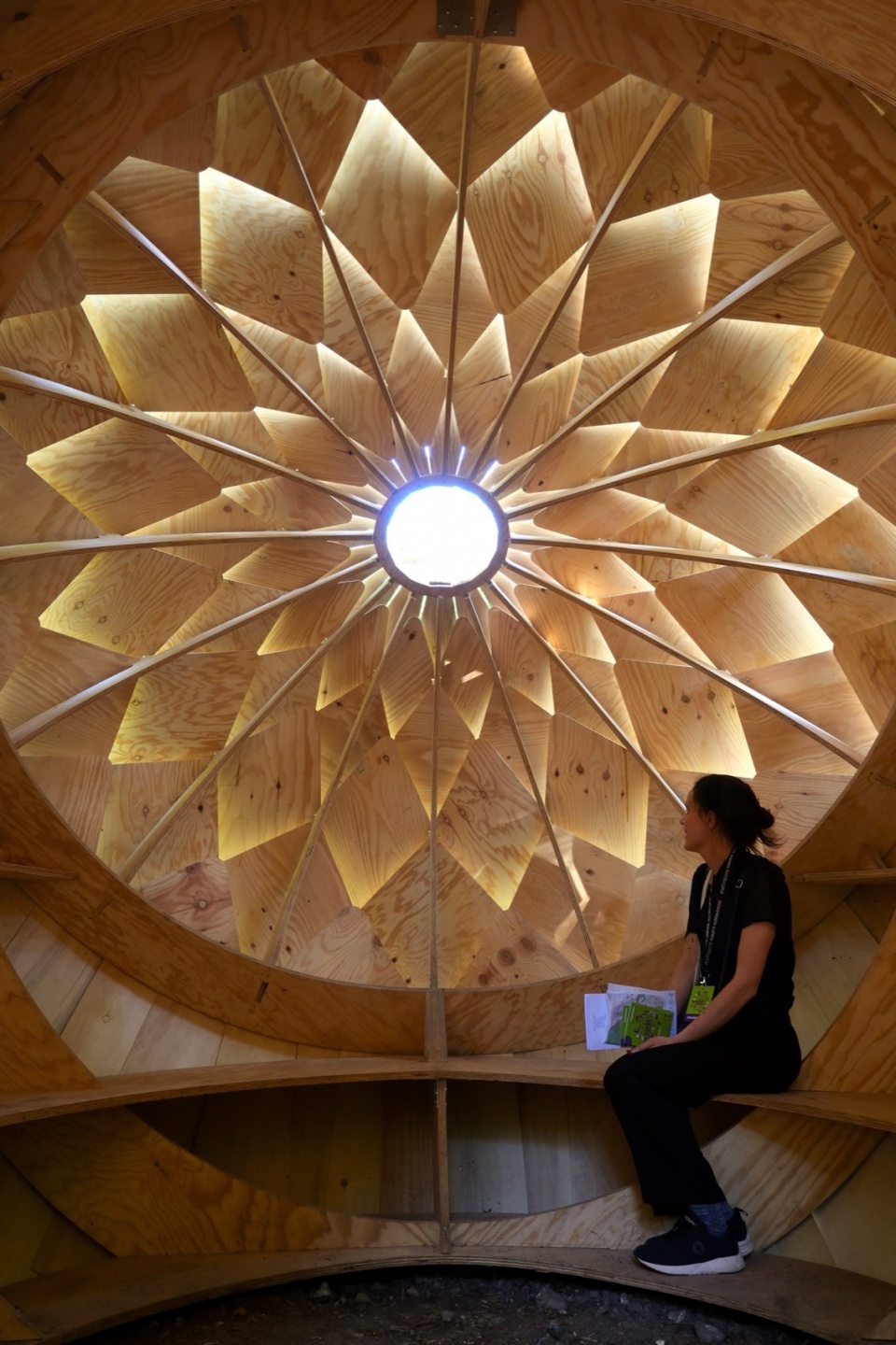 le monde dans un gland by lfz studio