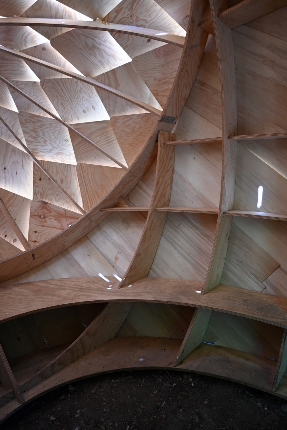 le monde dans un gland by lfz studio