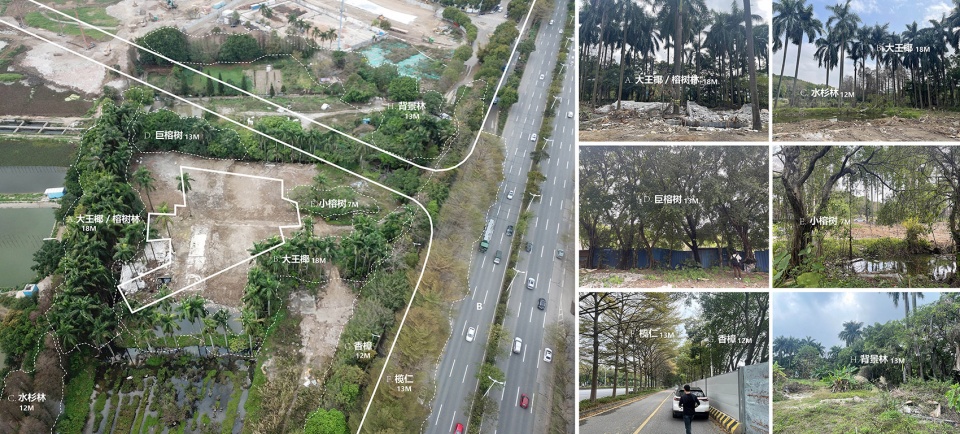 用地照片©承迹 shunde yunlu wetland pavilion landscape design