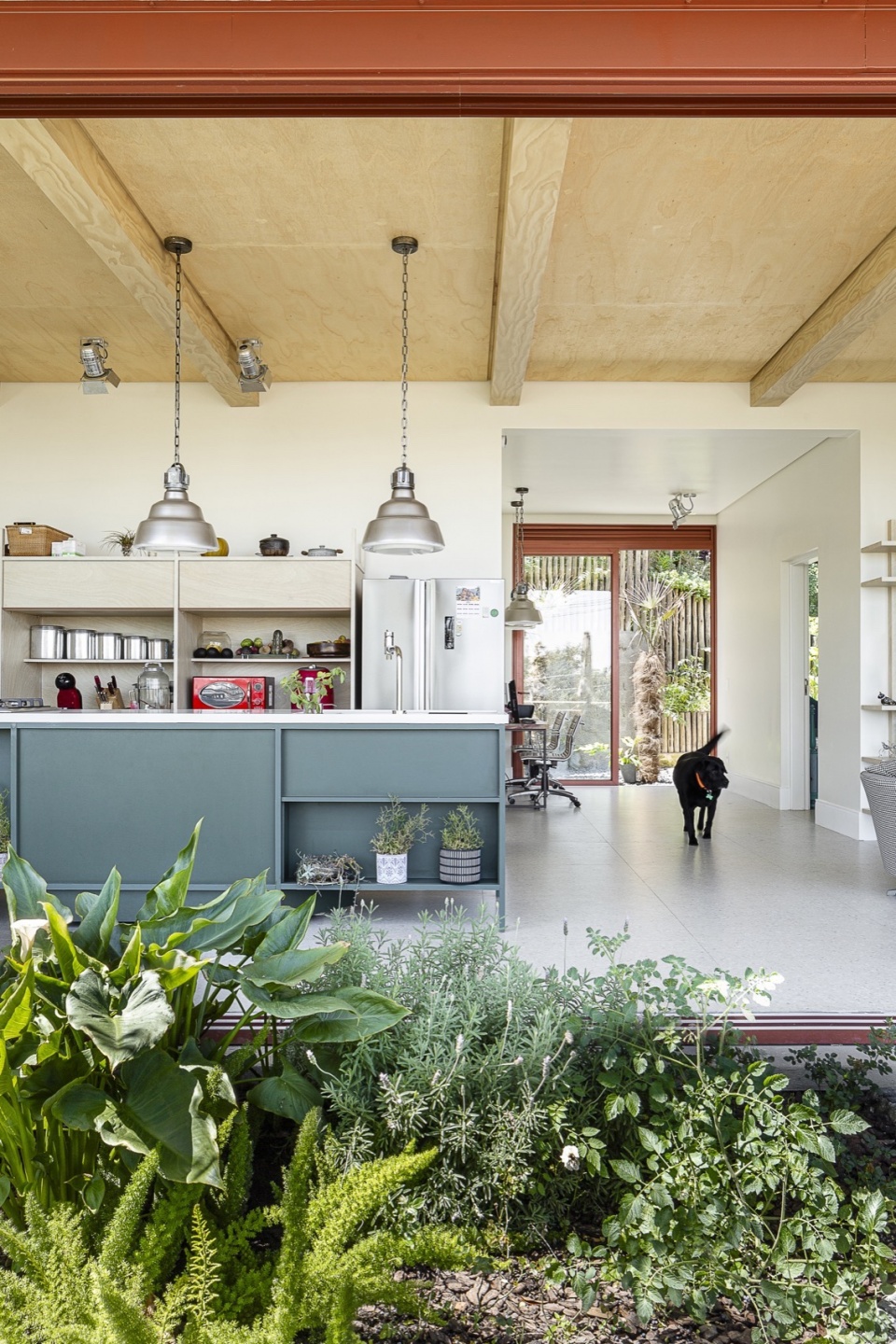 lechuza house by arkitito